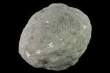 Keokuk Quartz Geode with Calcite & Pyrite Crystals - Missouri #144765-1